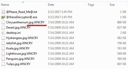 WannaCry Ransomware Encrypted files