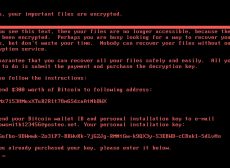 A technical analysis of the recent Petya ransomware attack