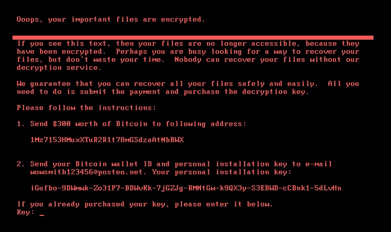 Fig 9. Petya ransom screen