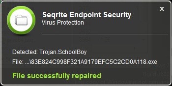 Fig 4. Seqrite detecting the malicious file in real-time