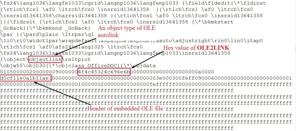 Fig 2. Embedded OLE2link object 