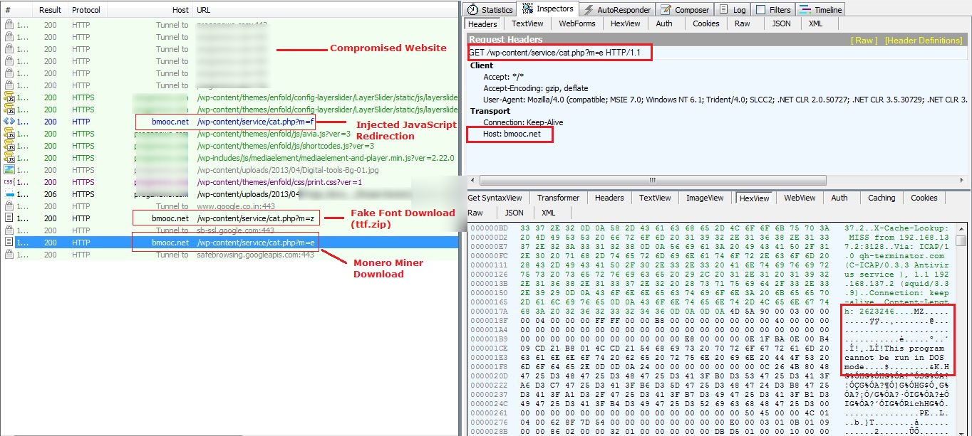 Fig 2: Fiddler Capture (Shortened Version)