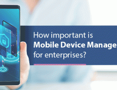 Enterprise Mobile Device Management