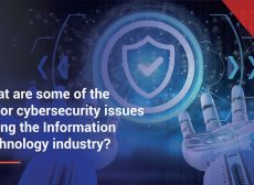 What are some of the major cybersecurity issues facing the Information Technology industry