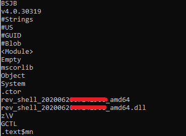 Image: Strings from CVE-2019-18935 DLLs