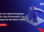 Why You Need Endpoint Data Loss Prevention To Safeguard Sensitive Data?