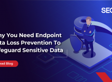 Endpoint Data Leak Prevention DLP