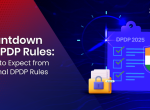 Countdown to DPDP Rules: What to Expect from the Final DPDP Rules